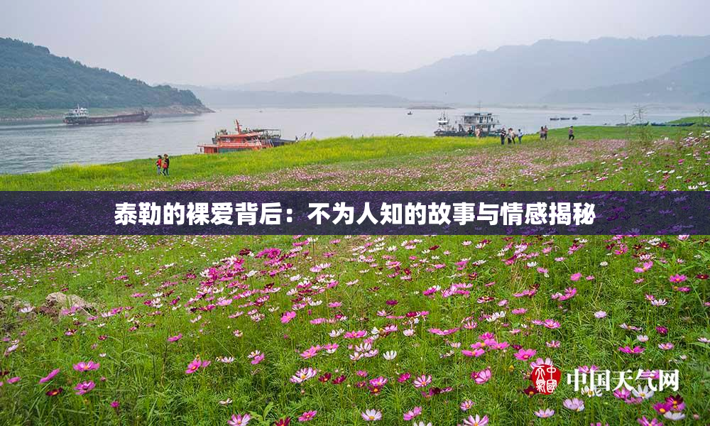 泰勒的裸爱背后：不为人知的故事与情感揭秘