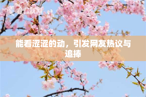 能看涩涩的动，引发网友热议与追捧