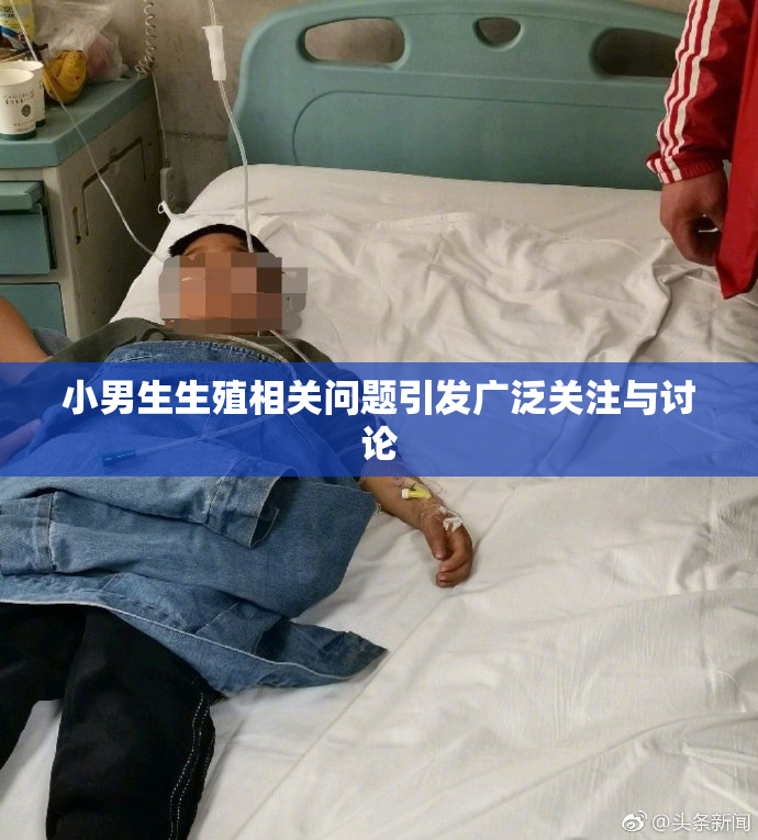 小男生生殖相关问题引发广泛关注与讨论