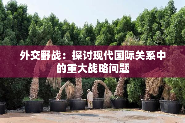 外交野战：探讨现代国际关系中的重大战略问题