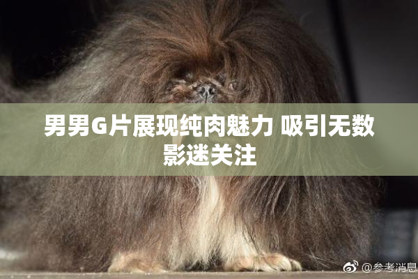 男男G片展现纯肉魅力 吸引无数影迷关注