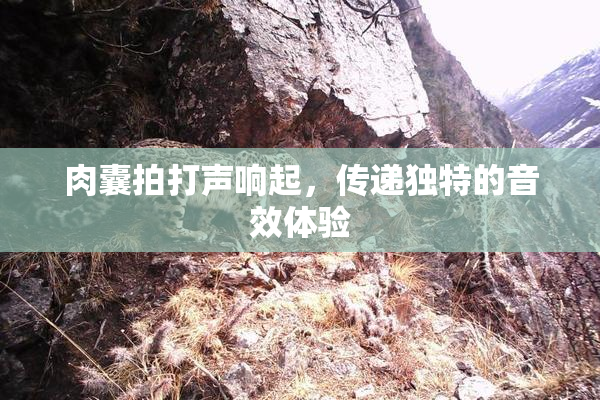 肉囊拍打声响起，传递独特的音效体验