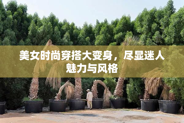 美女时尚穿搭大变身，尽显迷人魅力与风格
