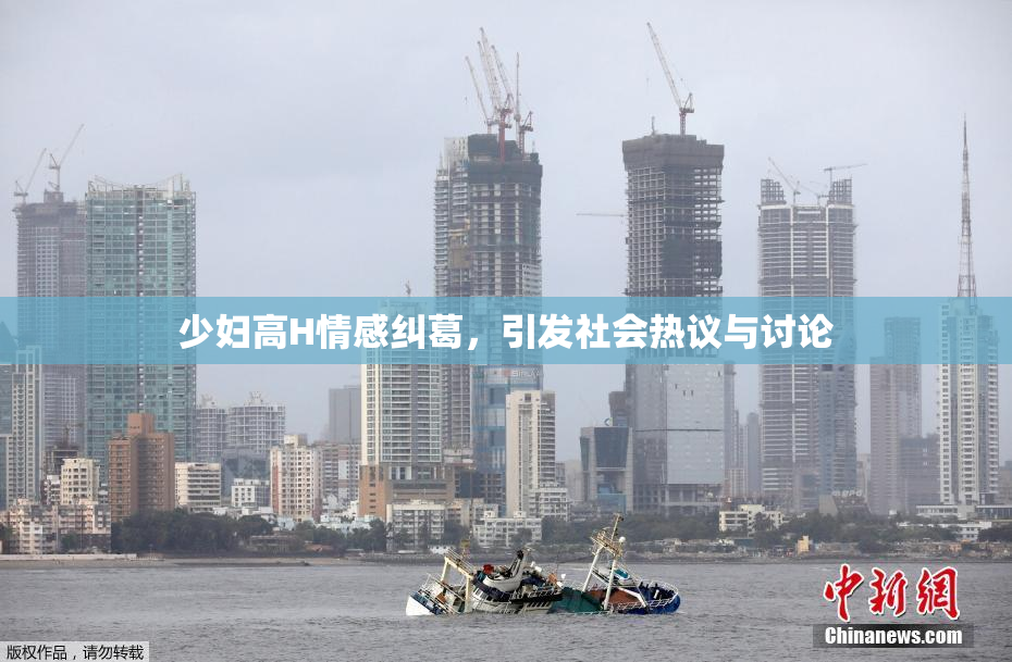 少妇高H情感纠葛，引发社会热议与讨论