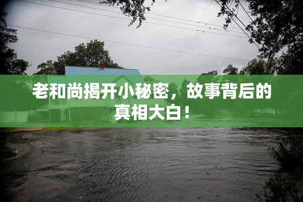 老和尚揭开小秘密，故事背后的真相大白！
