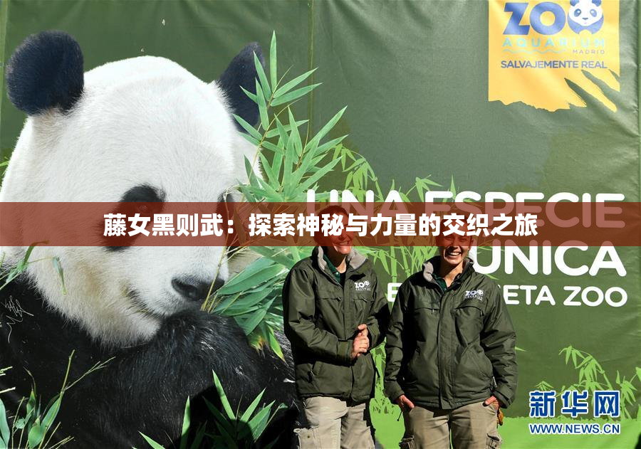 藤女黑则武：探索神秘与力量的交织之旅