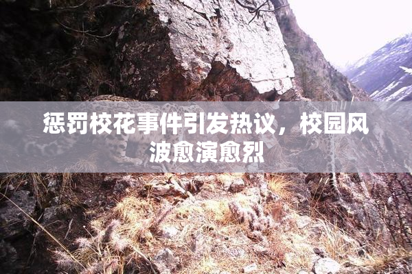 惩罚校花事件引发热议，校园风波愈演愈烈