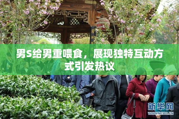 男S给男重喂食，展现独特互动方式引发热议