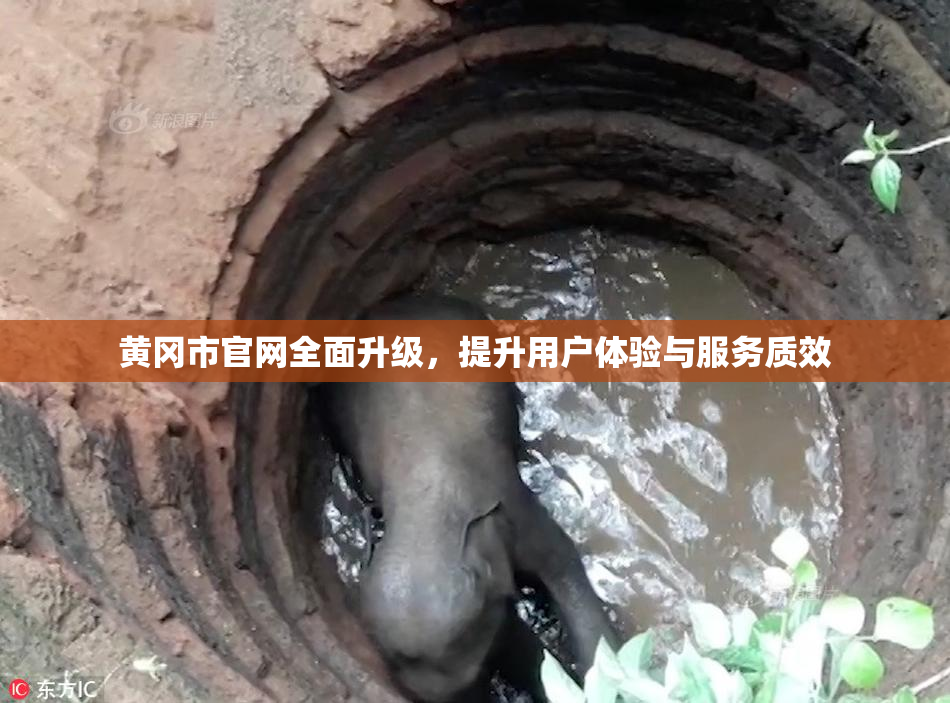 黄冈市官网全面升级，提升用户体验与服务质效