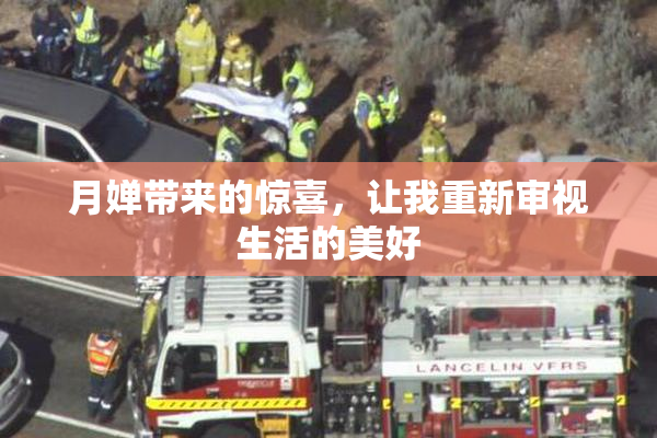 月婵带来的惊喜，让我重新审视生活的美好