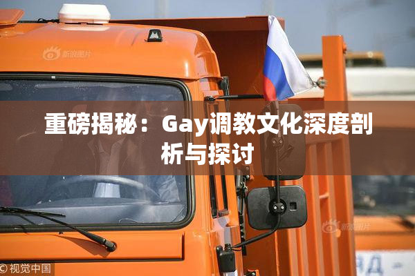 重磅揭秘：Gay调教文化深度剖析与探讨