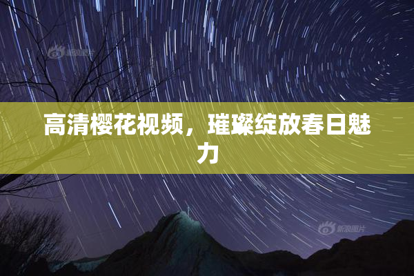 高清樱花视频，璀璨绽放春日魅力