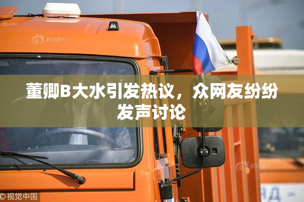 董卿B大水引发热议，众网友纷纷发声讨论