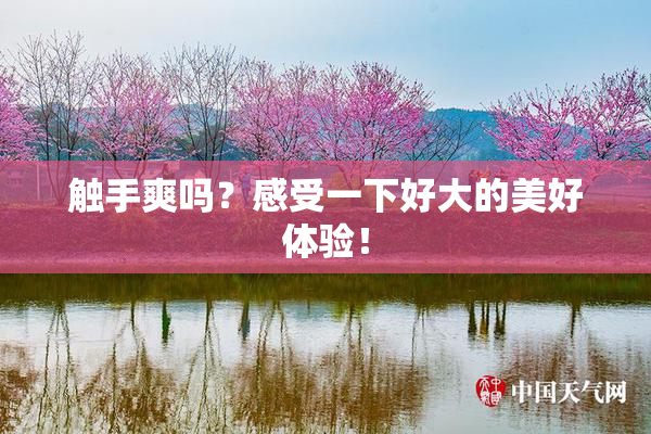 触手爽吗？感受一下好大的美好体验！
