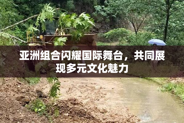 亚洲组合闪耀国际舞台，共同展现多元文化魅力