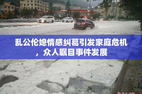 乱公伦媳情感纠葛引发家庭危机，众人瞩目事件发展