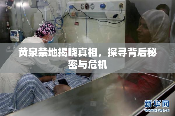 黄泉禁地揭晓真相，探寻背后秘密与危机