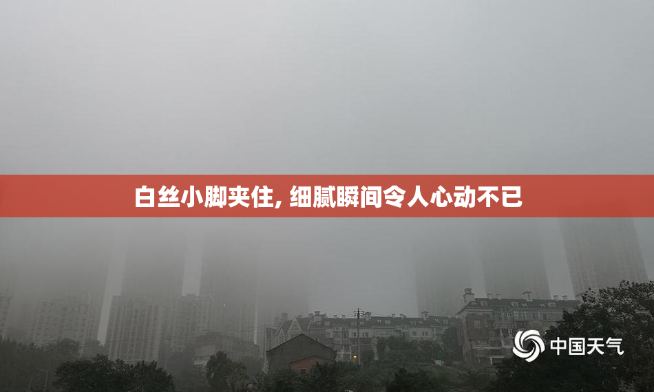 白丝小脚夹住, 细腻瞬间令人心动不已
