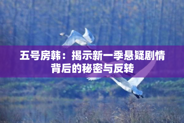五号房韩：揭示新一季悬疑剧情背后的秘密与反转