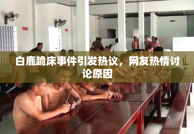 白鹿跪床事件引发热议，网友热情讨论原因