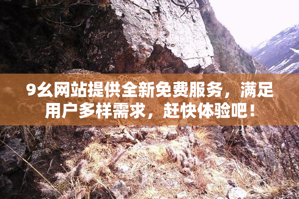 9幺网站提供全新免费服务，满足用户多样需求，赶快体验吧！