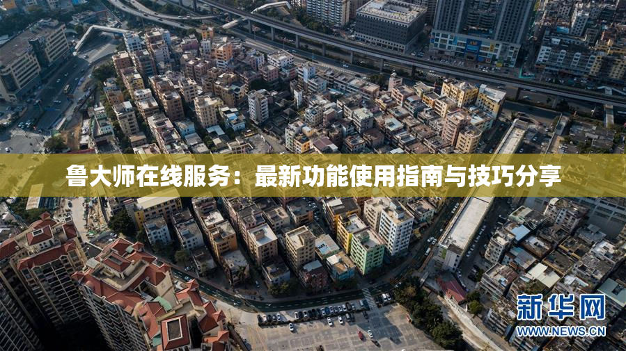鲁大师在线服务：最新功能使用指南与技巧分享