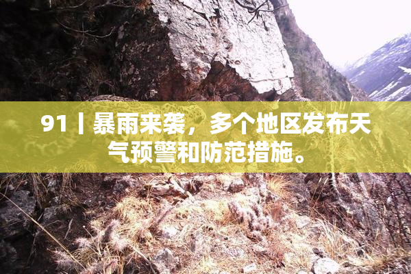 91丨暴雨来袭，多个地区发布天气预警和防范措施。