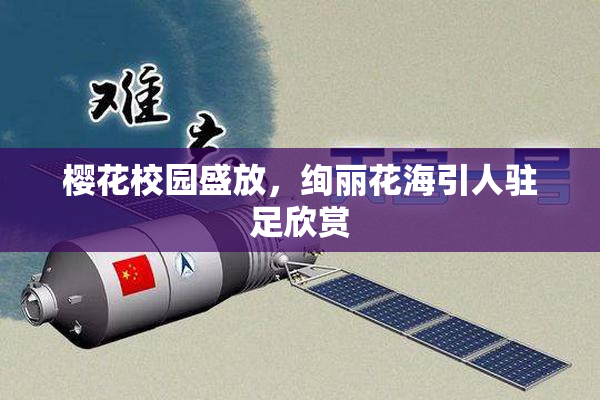 樱花校园盛放，绚丽花海引人驻足欣赏
