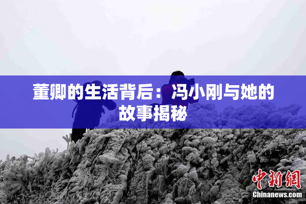 董卿的生活背后：冯小刚与她的故事揭秘