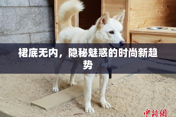 裙底无内，隐秘魅惑的时尚新趋势