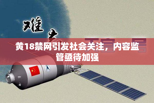 黄18禁网引发社会关注，内容监管亟待加强