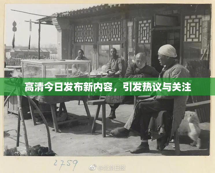 高清今日发布新内容，引发热议与关注