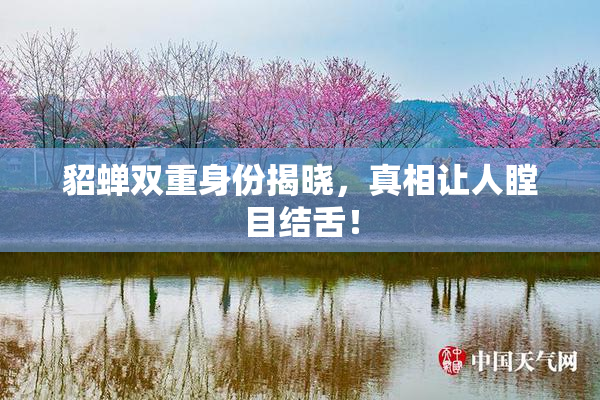 貂蝉双重身份揭晓，真相让人瞠目结舌！