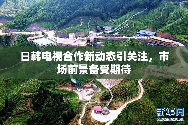 日韩电视合作新动态引关注，市场前景备受期待