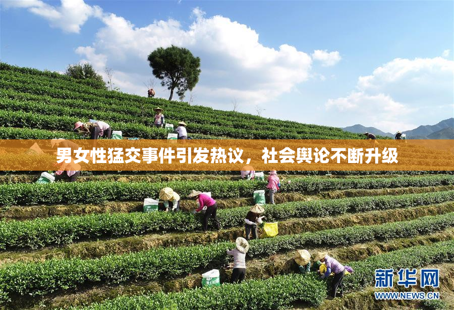 男女性猛交事件引发热议，社会舆论不断升级