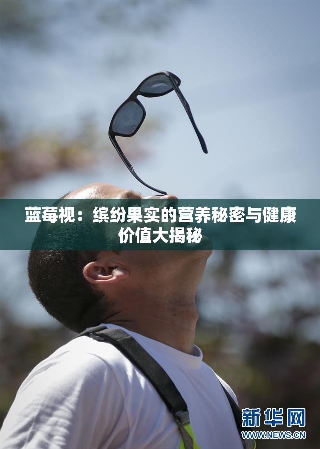 蓝莓视：缤纷果实的营养秘密与健康价值大揭秘