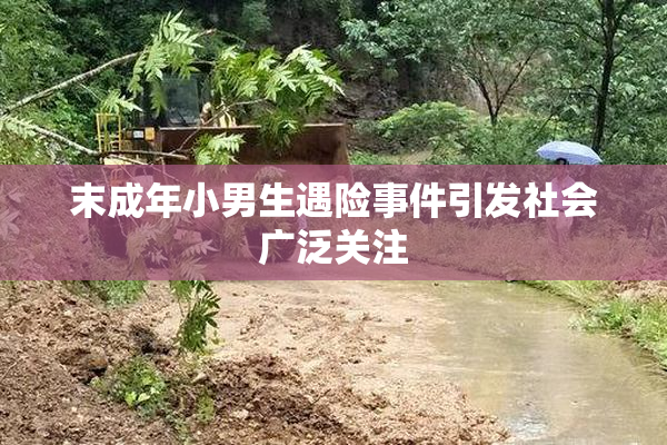 末成年小男生遇险事件引发社会广泛关注