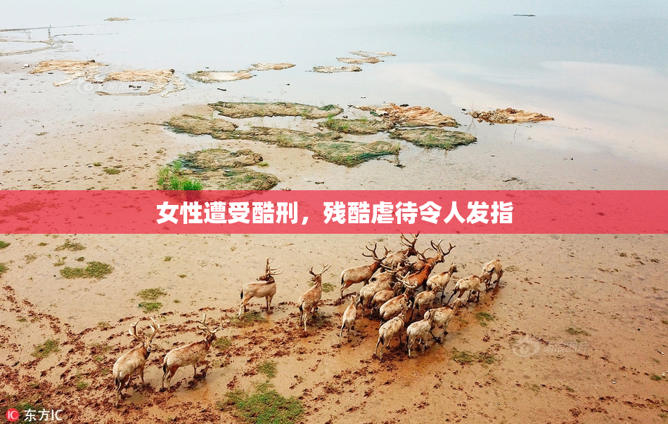 女性遭受酷刑，残酷虐待令人发指