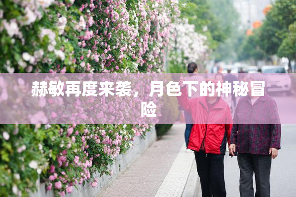 赫敏再度来袭，月色下的神秘冒险