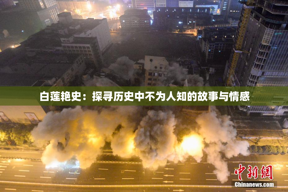 白莲艳史：探寻历史中不为人知的故事与情感