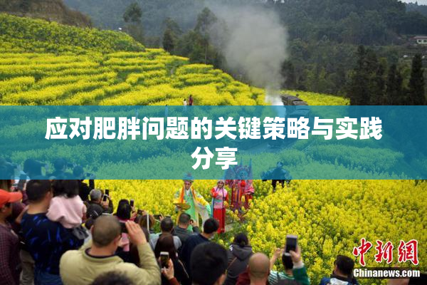 应对肥胖问题的关键策略与实践分享
