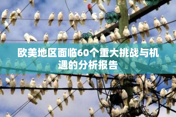 欧美地区面临60个重大挑战与机遇的分析报告