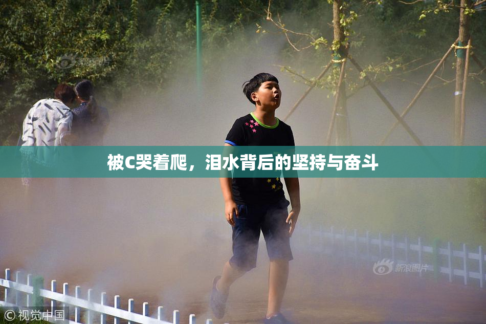 被C哭着爬，泪水背后的坚持与奋斗