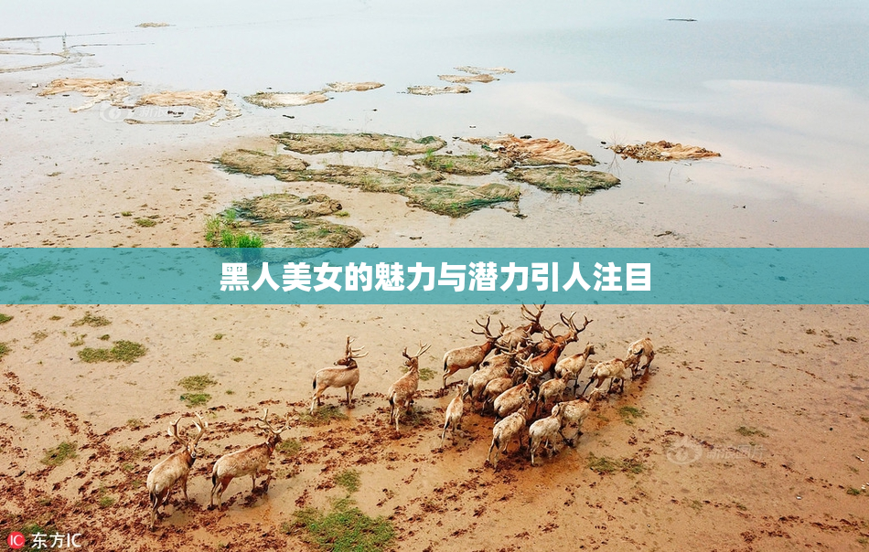黑人美女的魅力与潜力引人注目