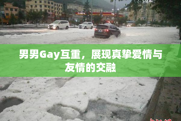 男男Gay互重，展现真挚爱情与友情的交融