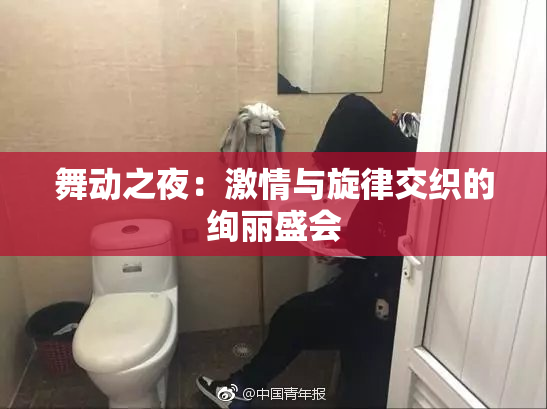 舞动之夜：激情与旋律交织的绚丽盛会