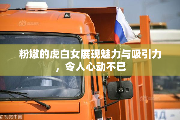 粉嫩的虎白女展现魅力与吸引力，令人心动不已