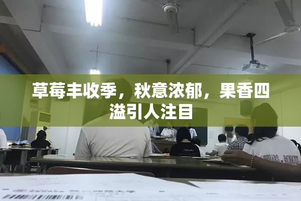 草莓丰收季，秋意浓郁，果香四溢引人注目