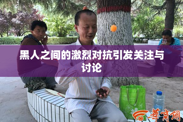 黑人之间的激烈对抗引发关注与讨论