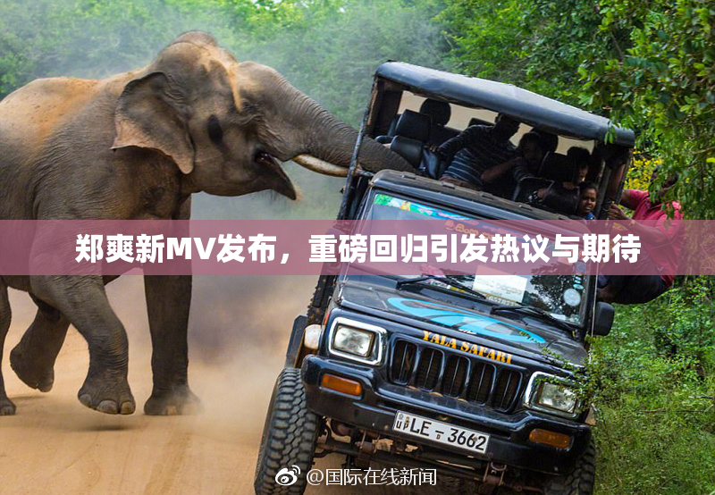 郑爽新MV发布，重磅回归引发热议与期待
